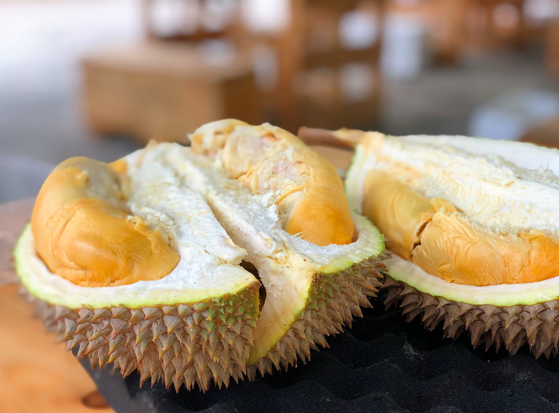 durian-bengkalis-1.png
